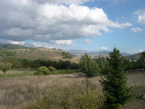 [Click to enlarge]